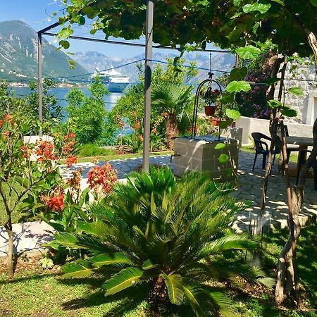 Studio Apartment Todorovic Kotor Exterior foto
