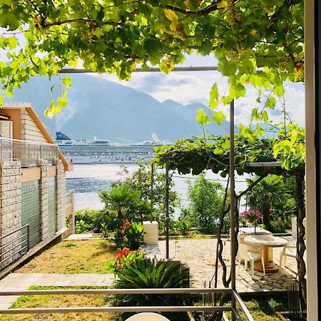 Studio Apartment Todorovic Kotor Exterior foto